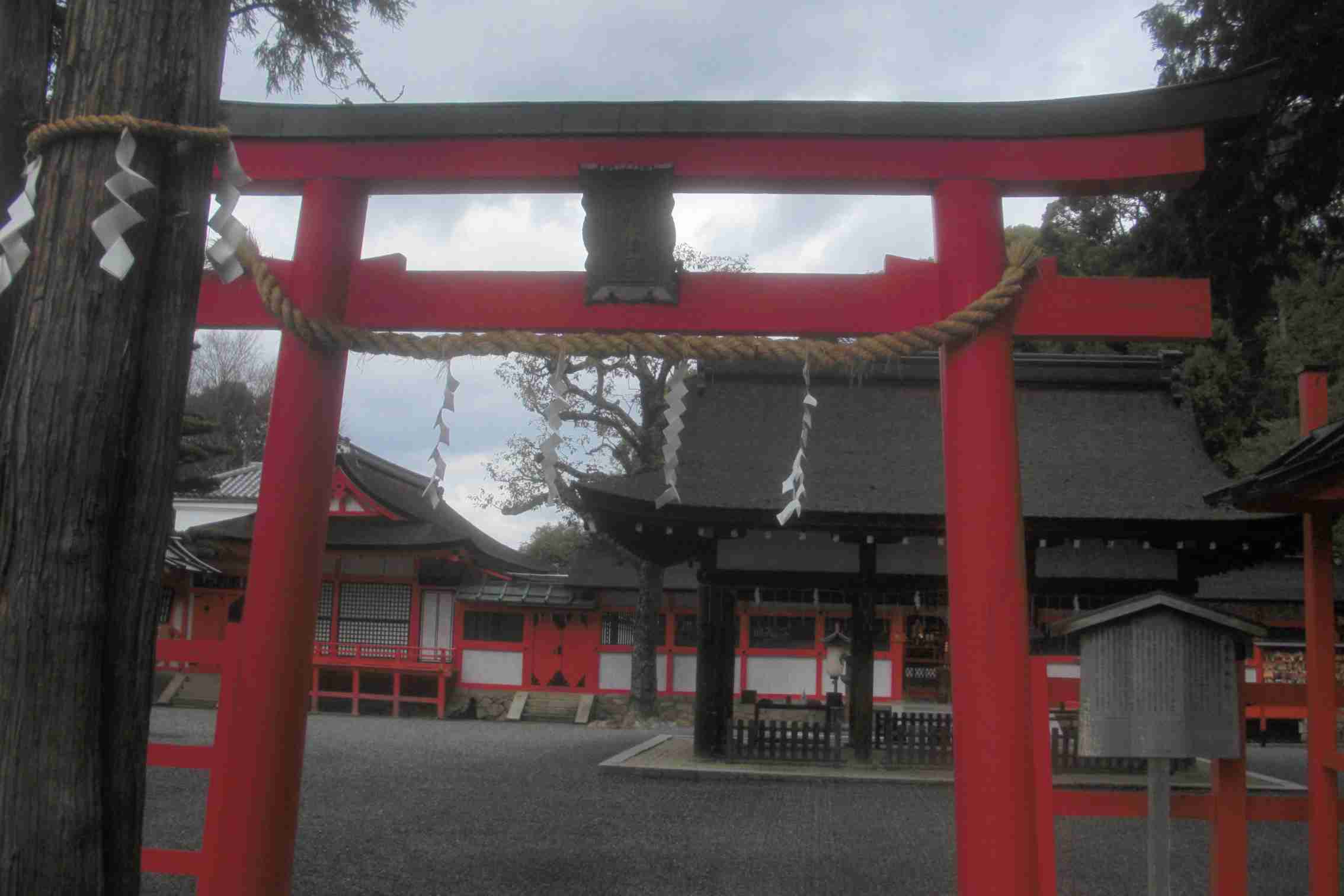 clickすれば大きな画像