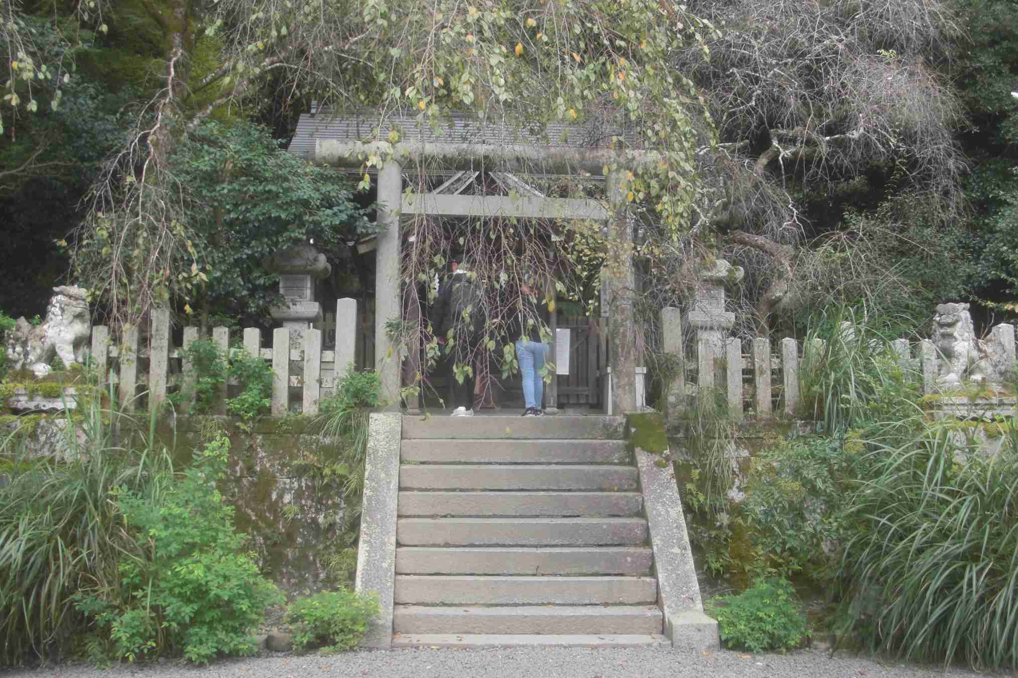 clickすれば大きな画像
