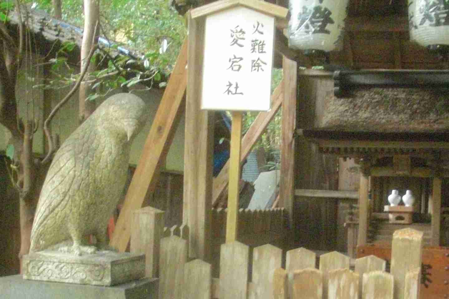 clickすれば大きな画像