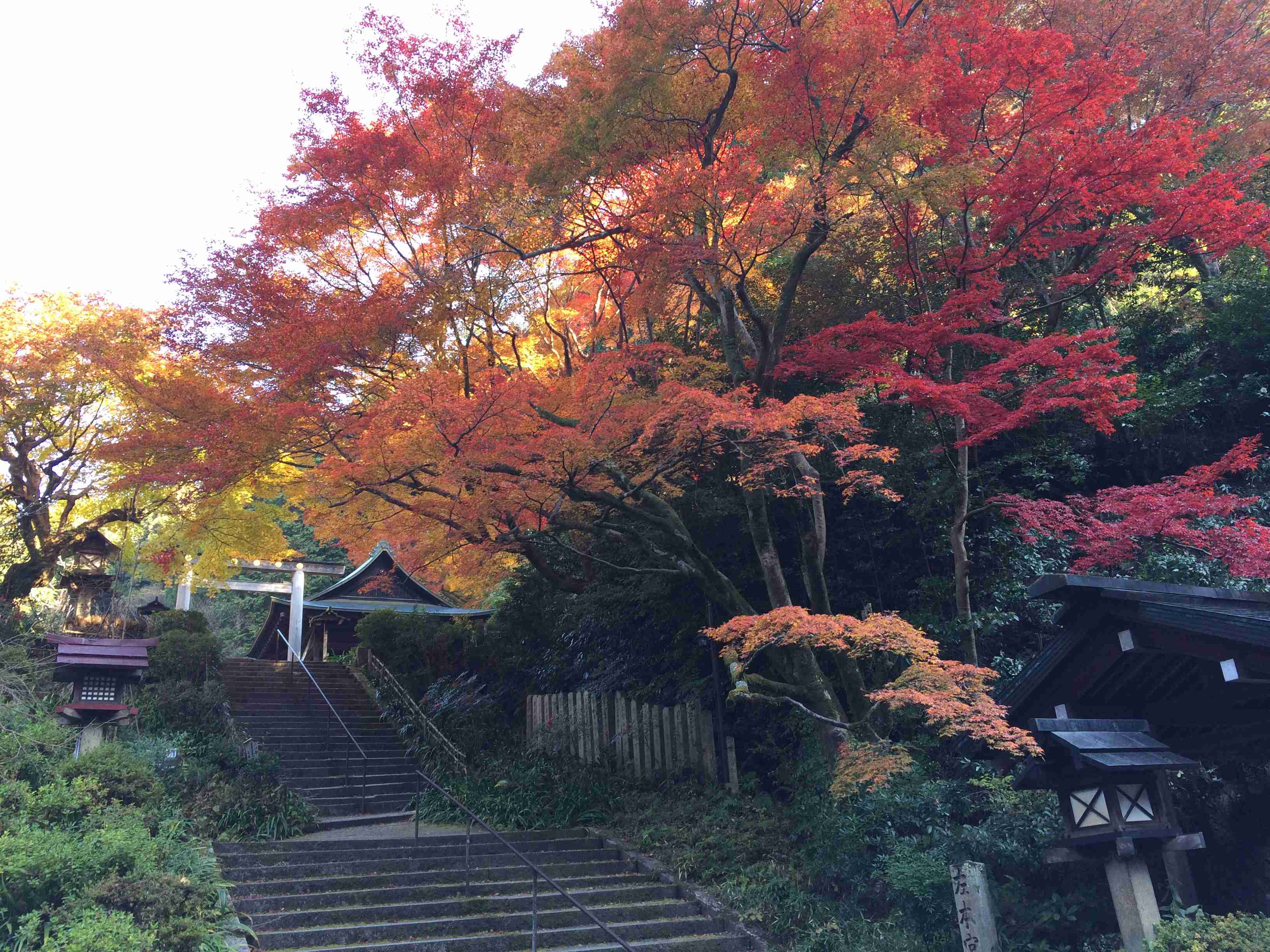 clickすれば大きな画像