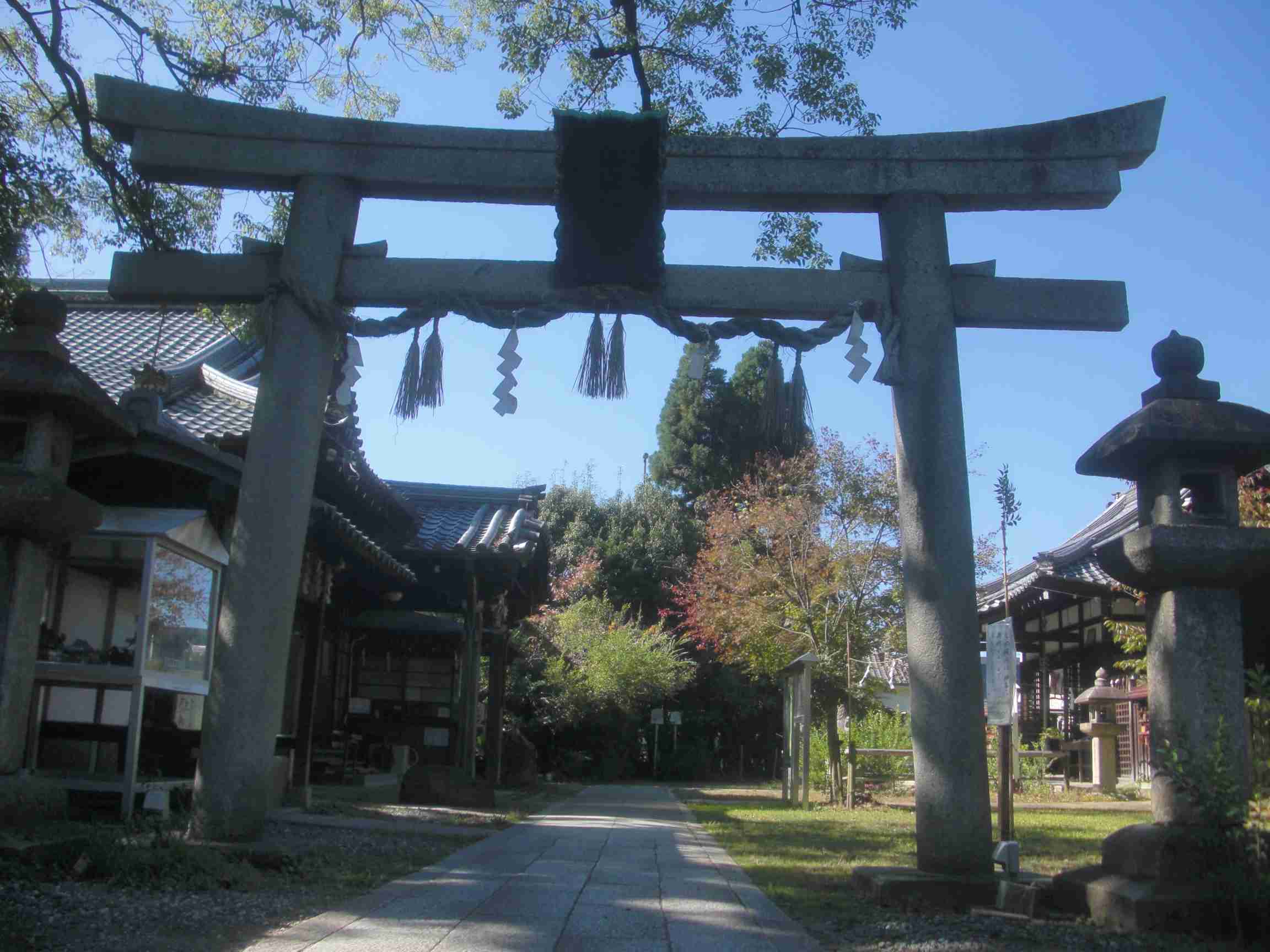 clickすれば大きな画像