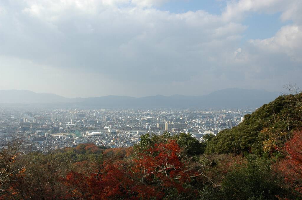 clickすれば大きな画像