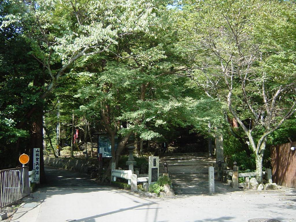 clickすれば大きな画像