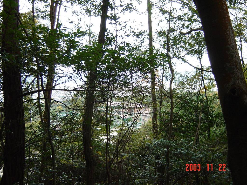clickすれば大きな画像