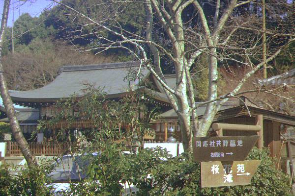 clickすれば大きな画像