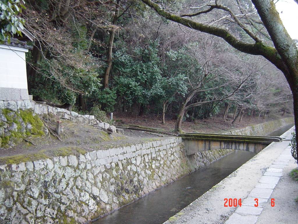 clickすれば大きな画像