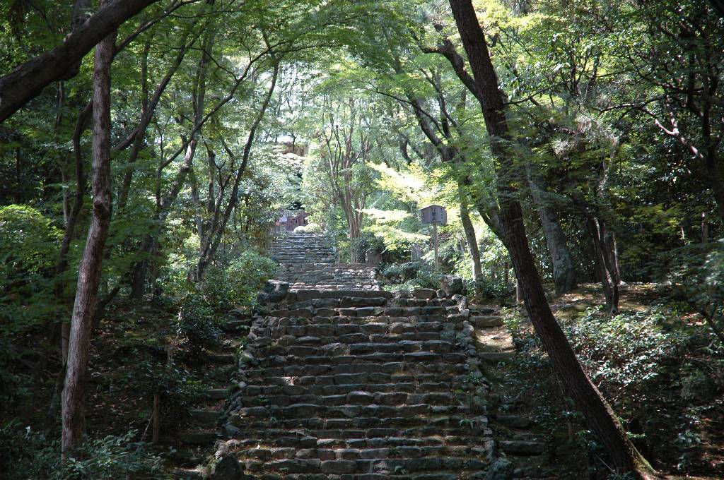 clickすれば大きな画像
