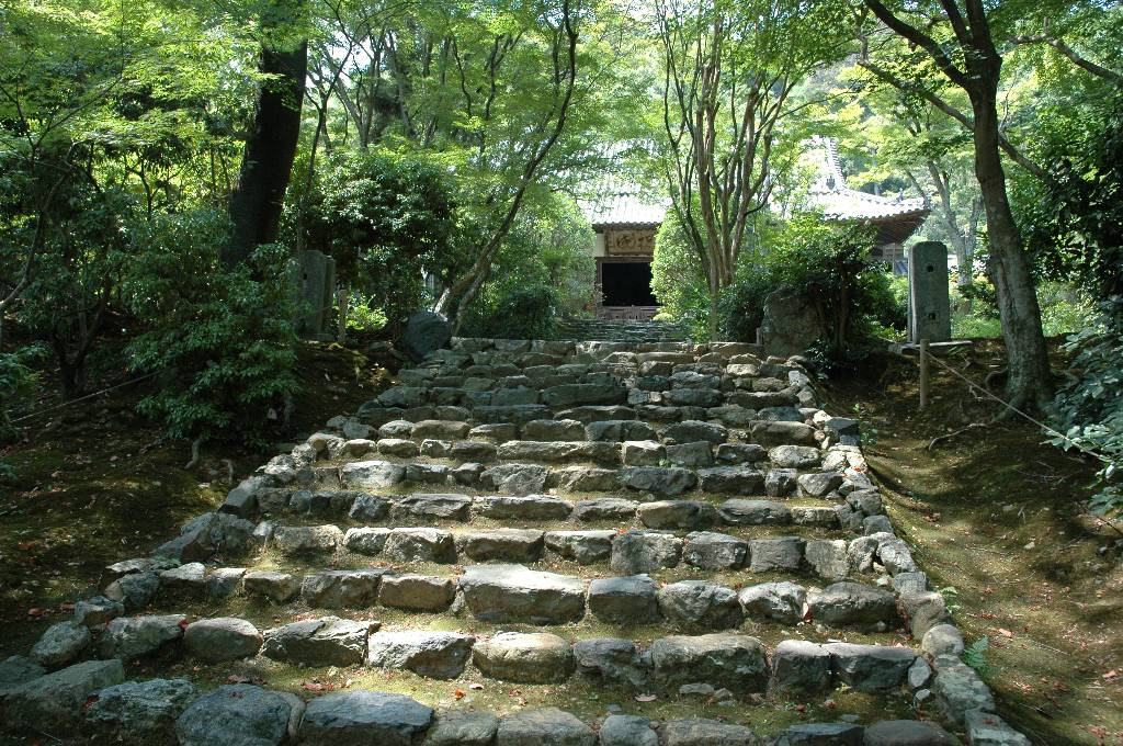 clickすれば大きな画像