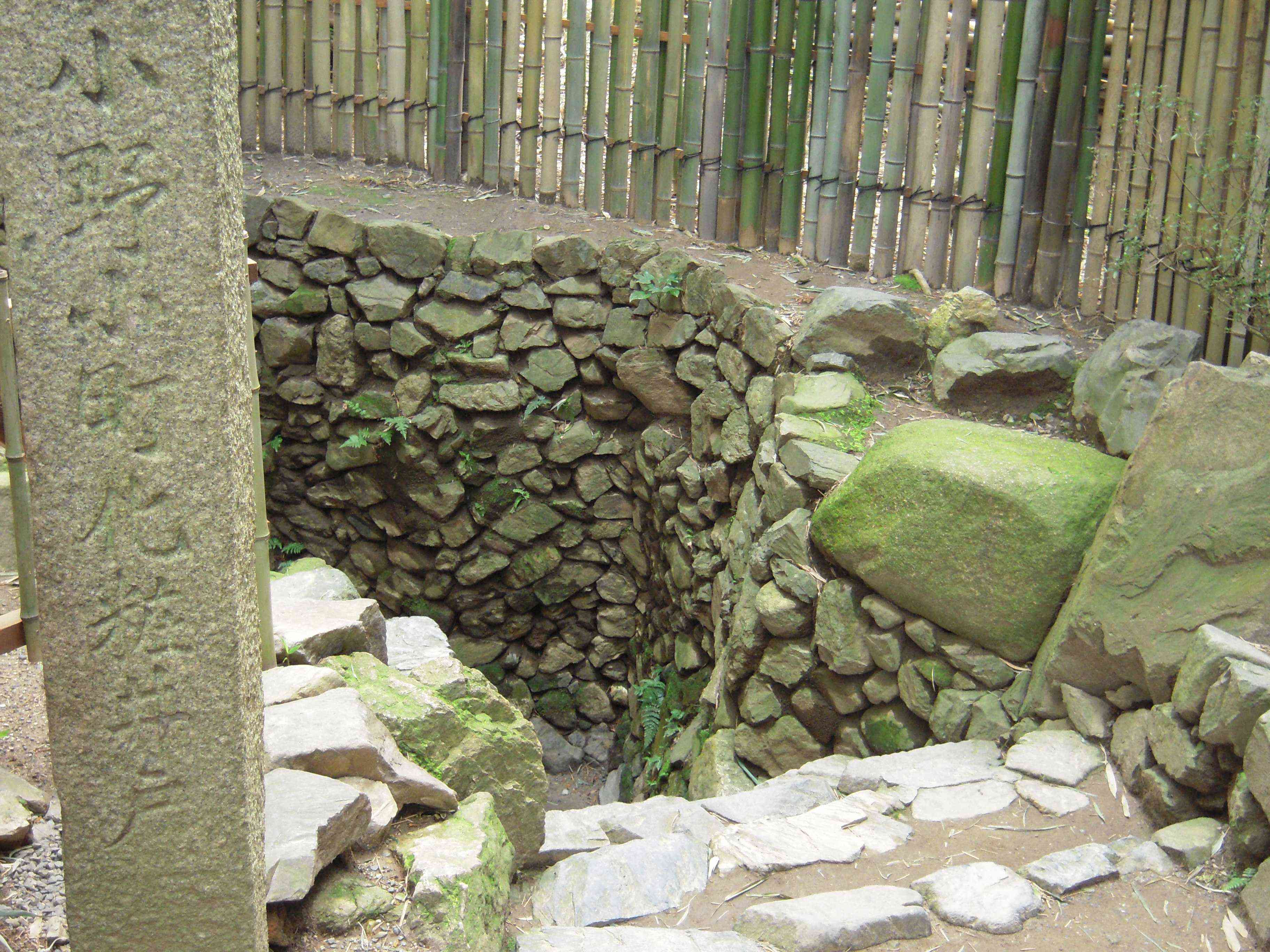 clickすれば大きな画像