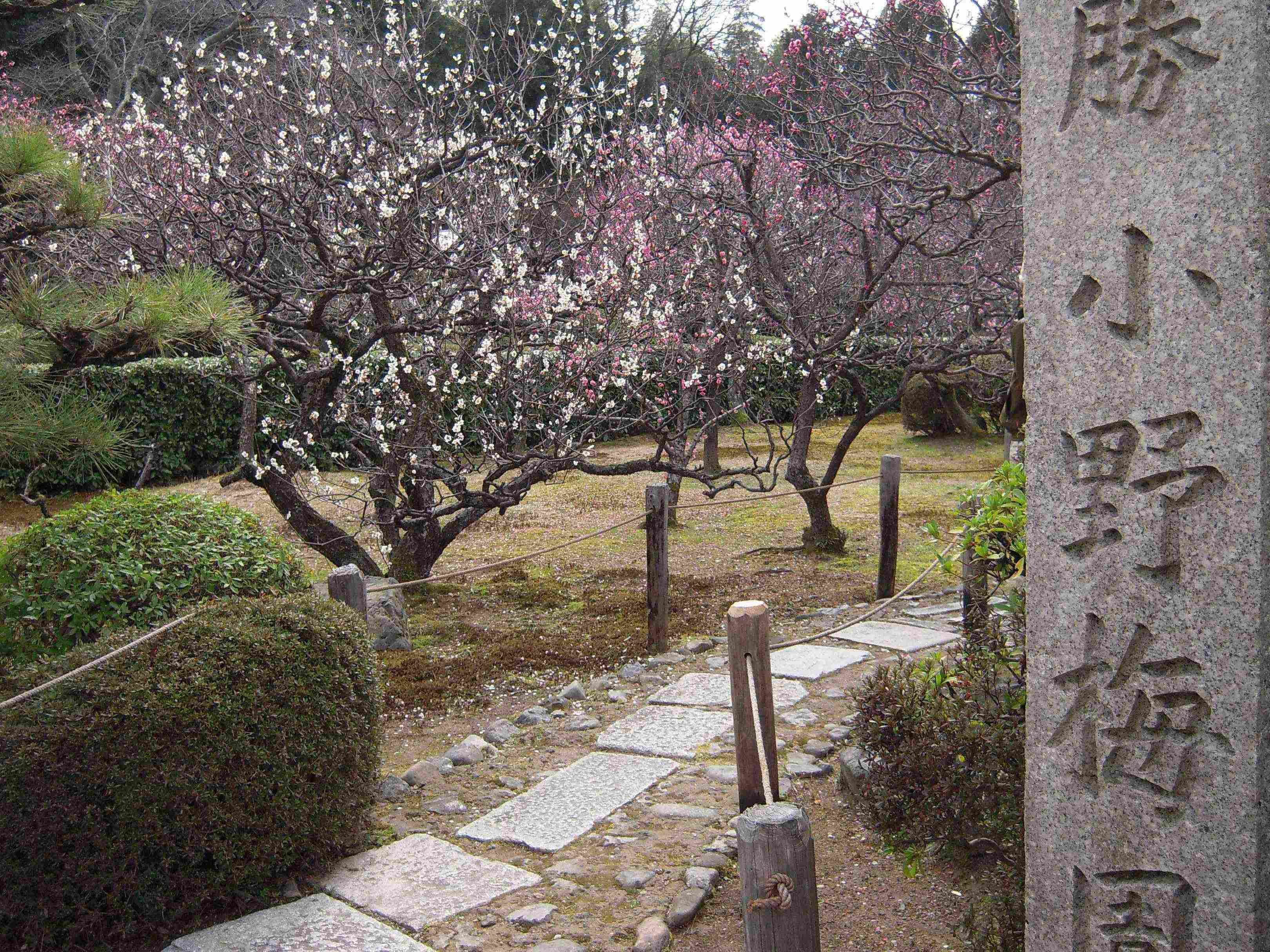 clickすれば大きな画像