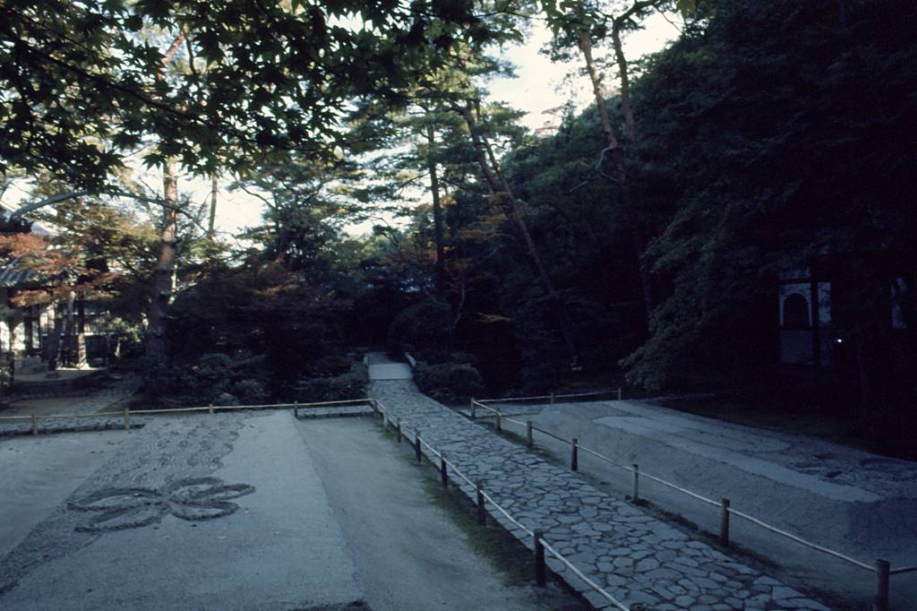 clickすれば大きな画像