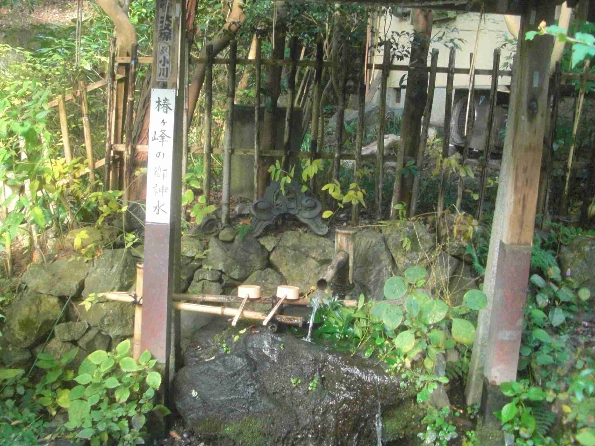 clickすれば大きな画像