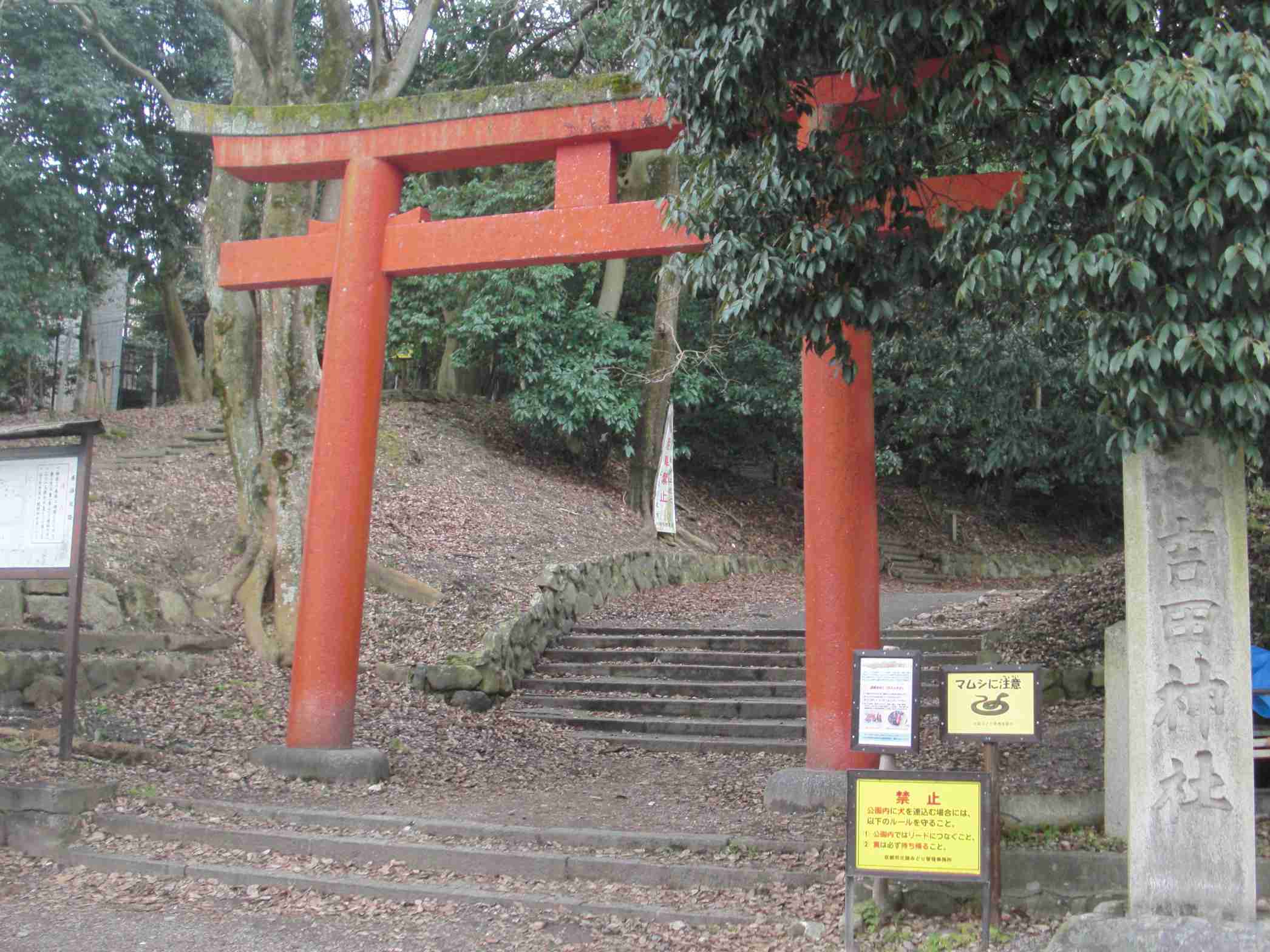 clickすれば大きな画像